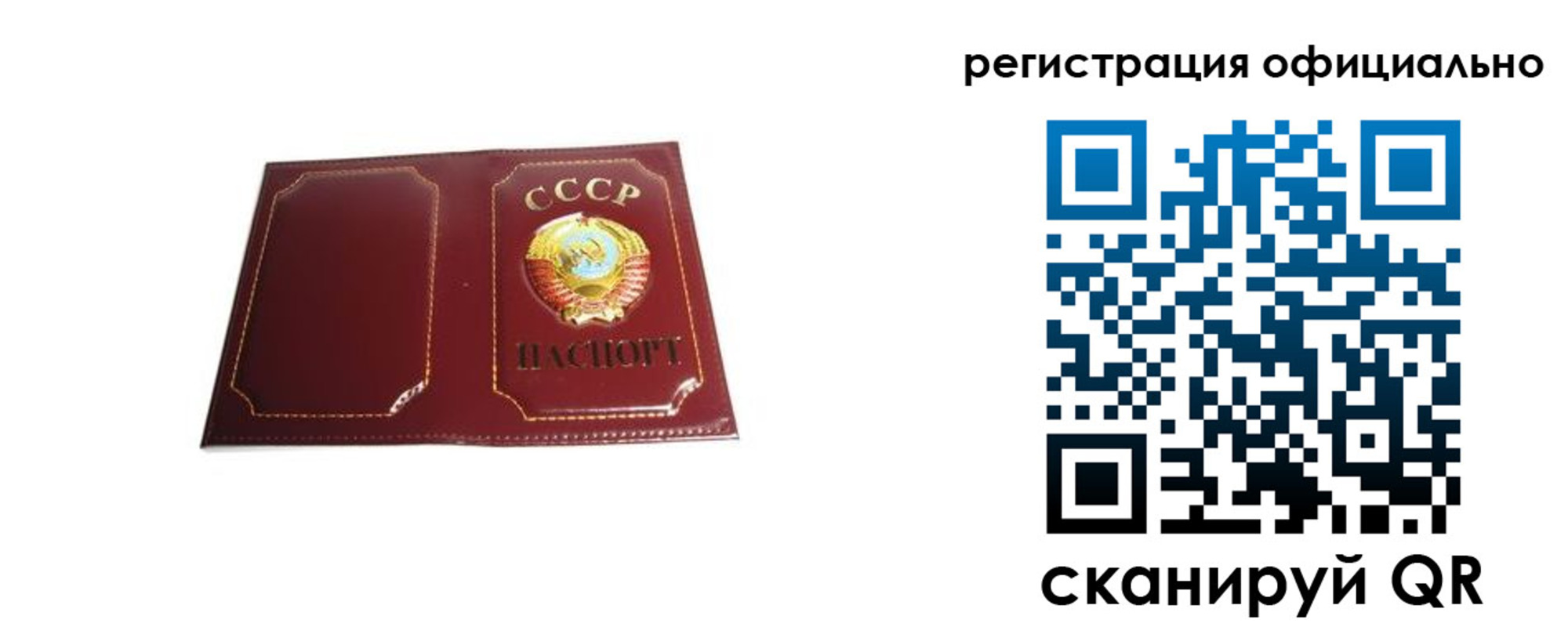 прописка в Дорогобуже